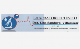 Laboratorio Clinico - Dra Lina Sandoval Villamizar