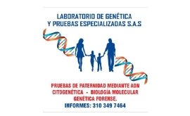 Pruebas de Paternidad en Gestación / Laboratorio de Genética / Tunja