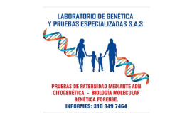Pruebas de Paternidad en Cali | Laboratorio de Genética