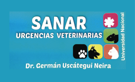 Sanar - Urgencias Veterinarias
