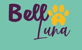 Guardería Canina|Bella Luna Guarderia como en Casa| en Bogotá