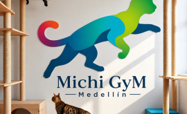 Gimnasios para Gatos en Medellín | Michi Gym Medellín