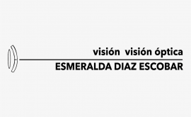   Optica Vision Vision 