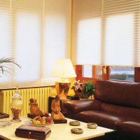 CORTINAS Y DECORACIONES DE CLASE 93