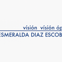 logo optica vision vision