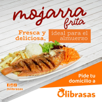 OLIBRASAS PNG 2