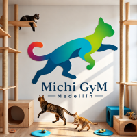 LOGO DEF, MICHI GYM MEDELLIN
