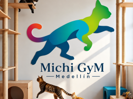 Gimnasios para Gatos en Medellín | Michi Gym Medellín - 3225975697 - 3225214026